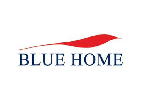 Blue Home - Art Ditection